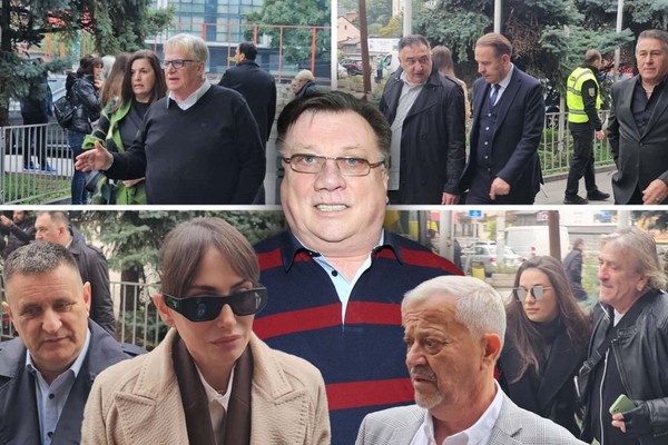 Trudnica, ilustracija