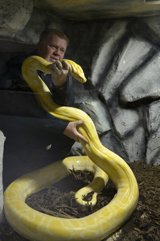 TORUŃ OCEANARIUM I TERARIUM