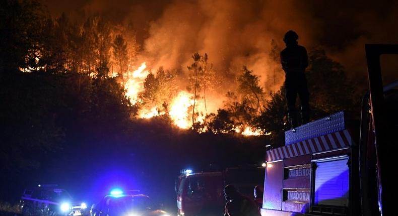 Firefighters battling a wildfire in Colmeal near Gois, where the blaze was tamed on Thursday