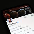 Musk chce stworzyć alternatywny smartfon. Jeśli Apple usunie Twittera z App Store