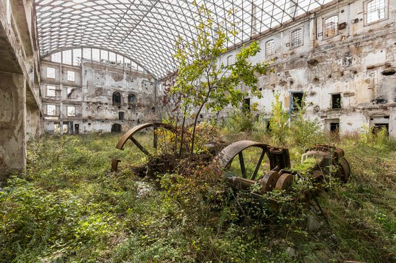 "Naturalia II". Fabryka we Włoszech