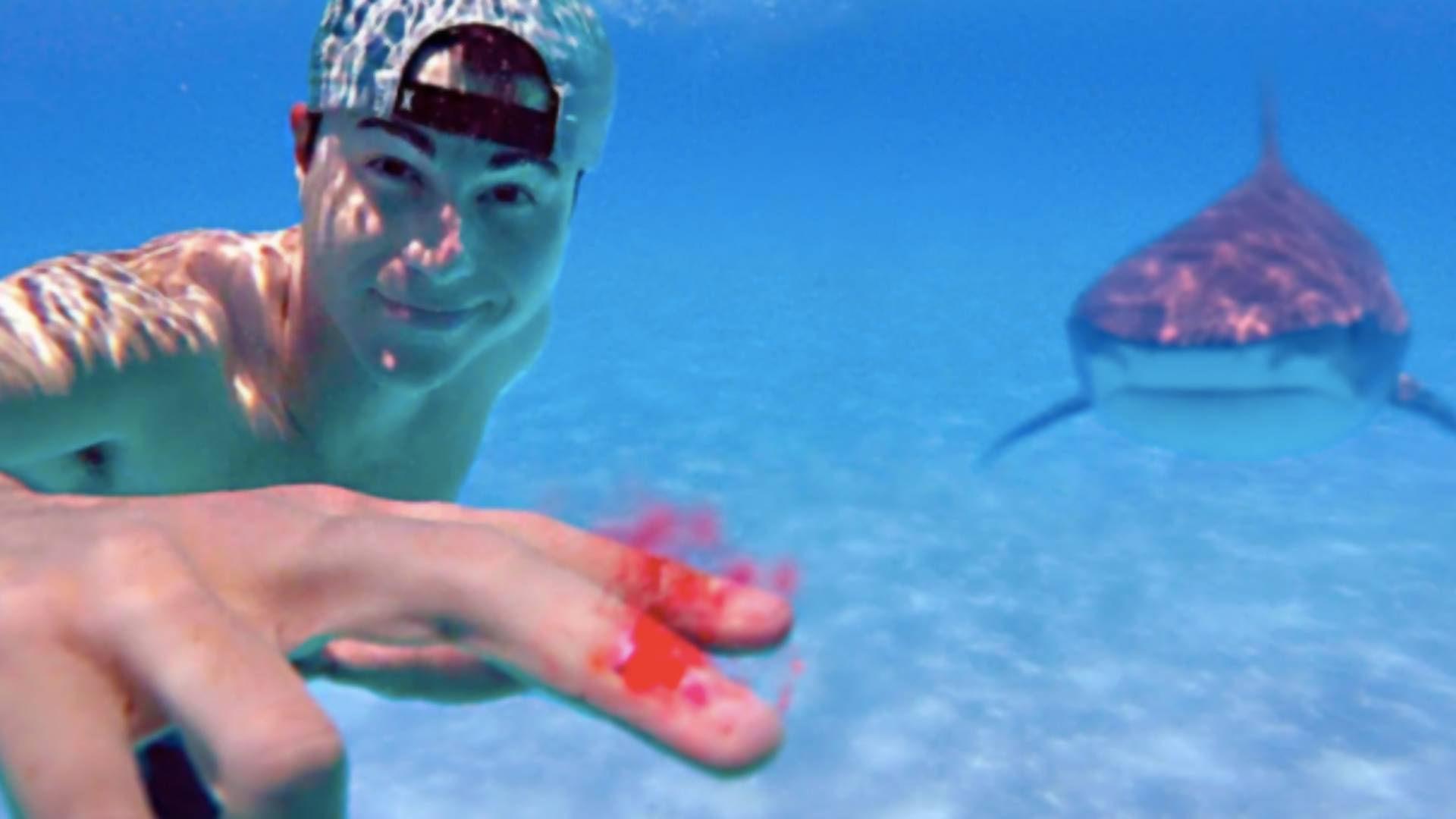Youtuber testoval, či žraloky naozaj zacítia ľudskú krv na kilometre v oceáne
