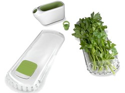 Jak przechować zioło w lodówce?