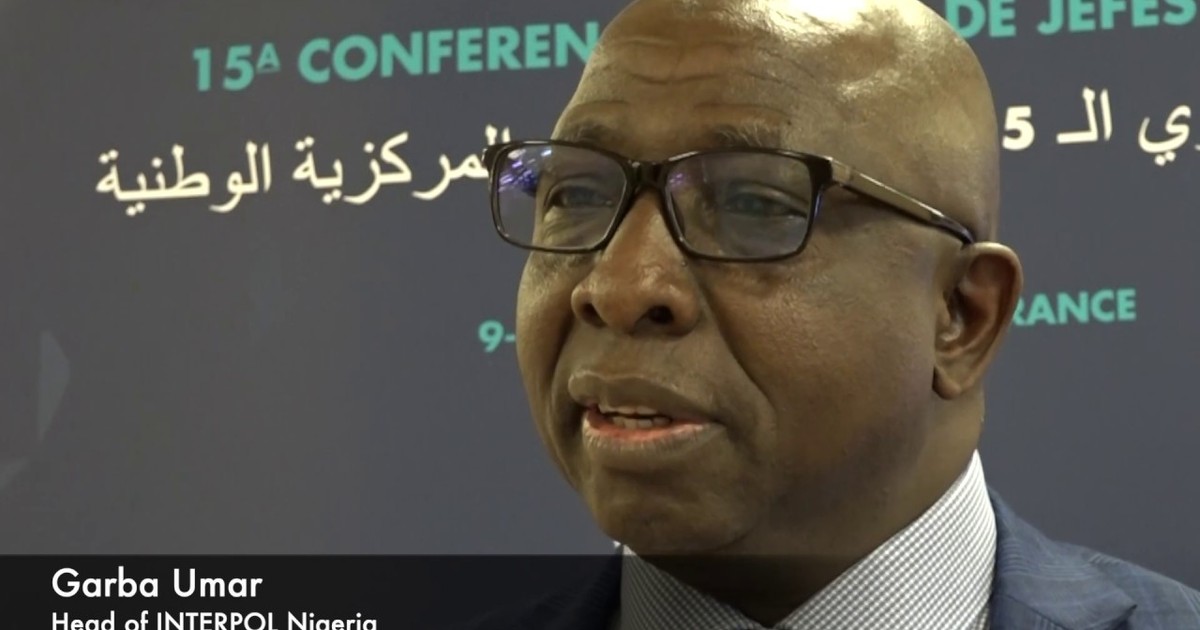 Nigeria's Garba Umar elected as INTERPOL vice-president for Africa - Vimarsana News