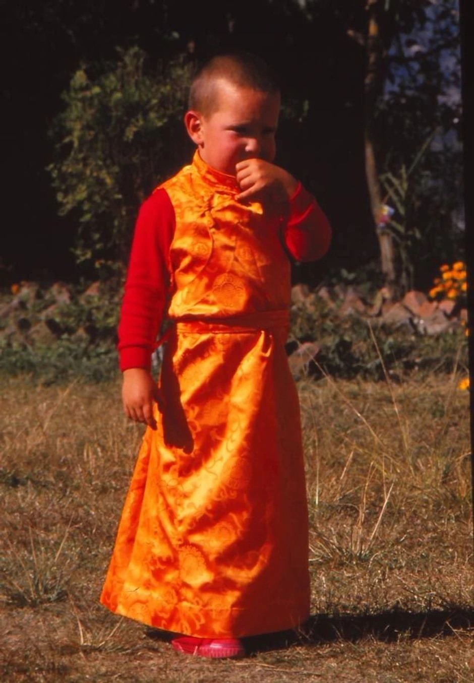 Osel je odgojen kao reinkarnacija popularnog lame koji je širio budizam po zapadnim zemljama | Foto: Getty Images