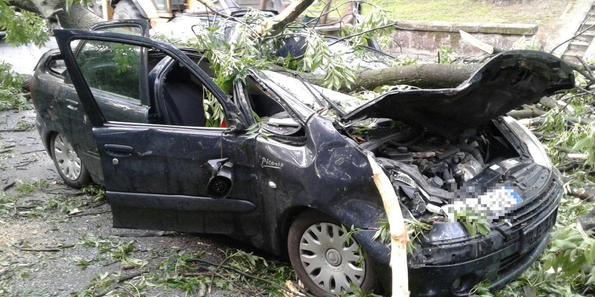 Tragiczne skutki nawałnicy. Drzewo przygniotło kobietę w samochodzie