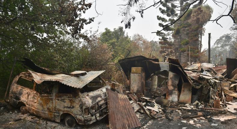 Bushfires have brought destruction to millions of hectares of Australia this summer