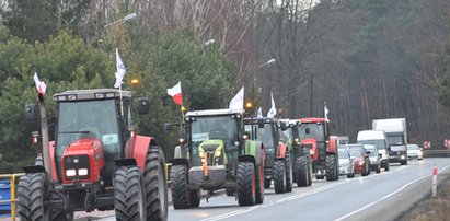 Protest rolników 29.02.2024. Gdzie Polacy mogą spodziewać się utrudnień w ruchu?