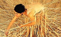 Życie rodzinne jako źródło cierpień. Przede wszystkim dla kobiet