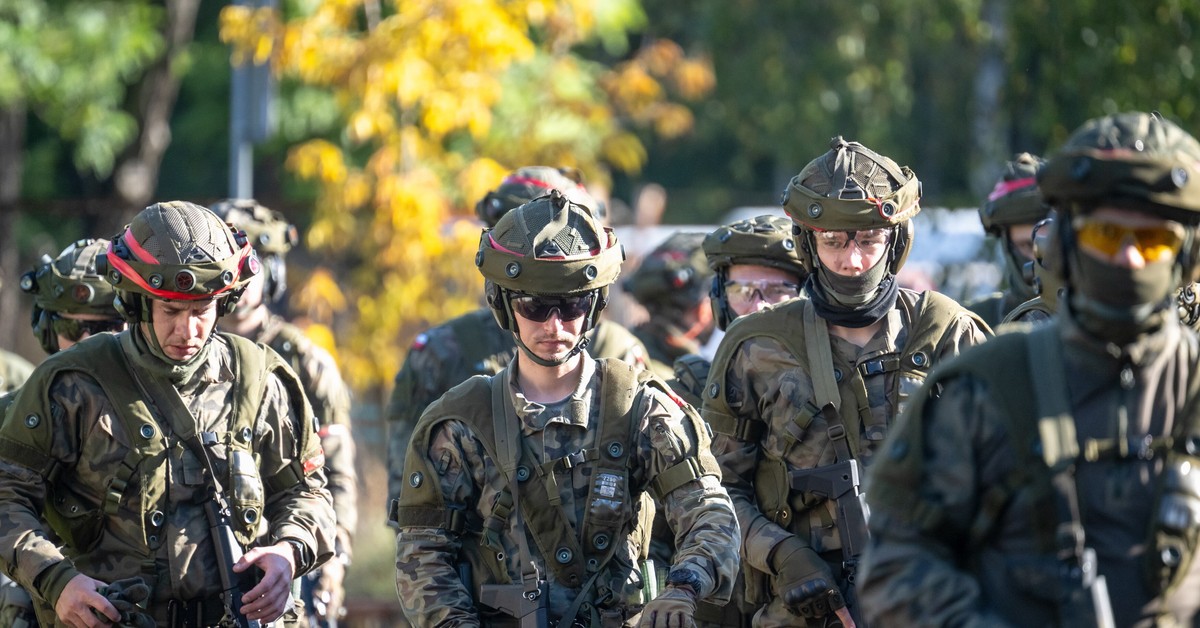 Mniejsze limity dla zawodowego wojska. Za to wyszkolą rezerwistów