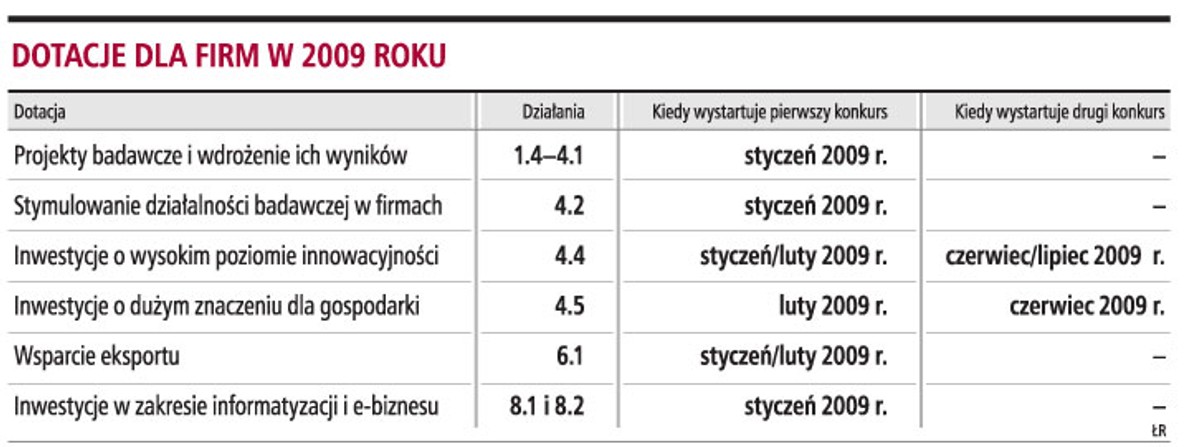 Dotacje dla firm w 2009 roku
