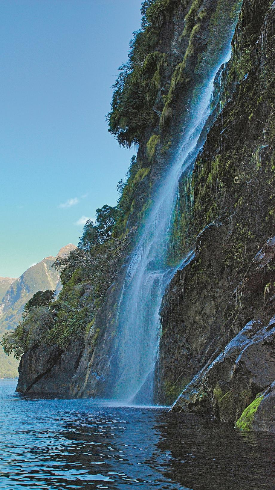 Browne Falls (836 m) w Fiordland National Park na Nowej Zelandii spływa dwoma strumieniami do fiordu Doubtful Sound. Zasilają go wody polodowcowego górskiego zbiornika Lake Browne