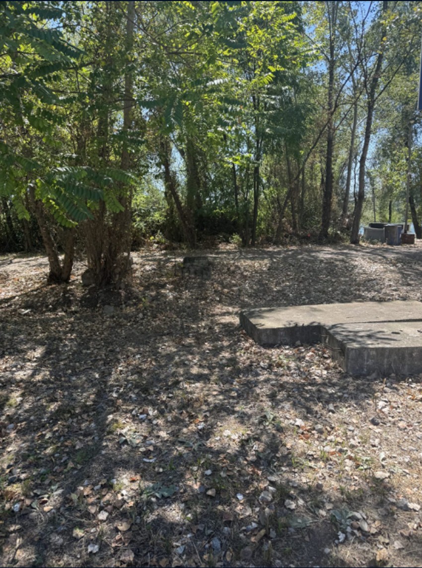 Prilikom čišćenja deponija, radnici JKP "Gradska čistoća" otpad su na licu mesta selektovali