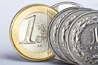Główny ekonomista MF: Nie powinniśmy spieszyć się z euro