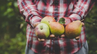 Resort zbada, kto naprawdę jest rolnikiem. Dopłaty po nowemu