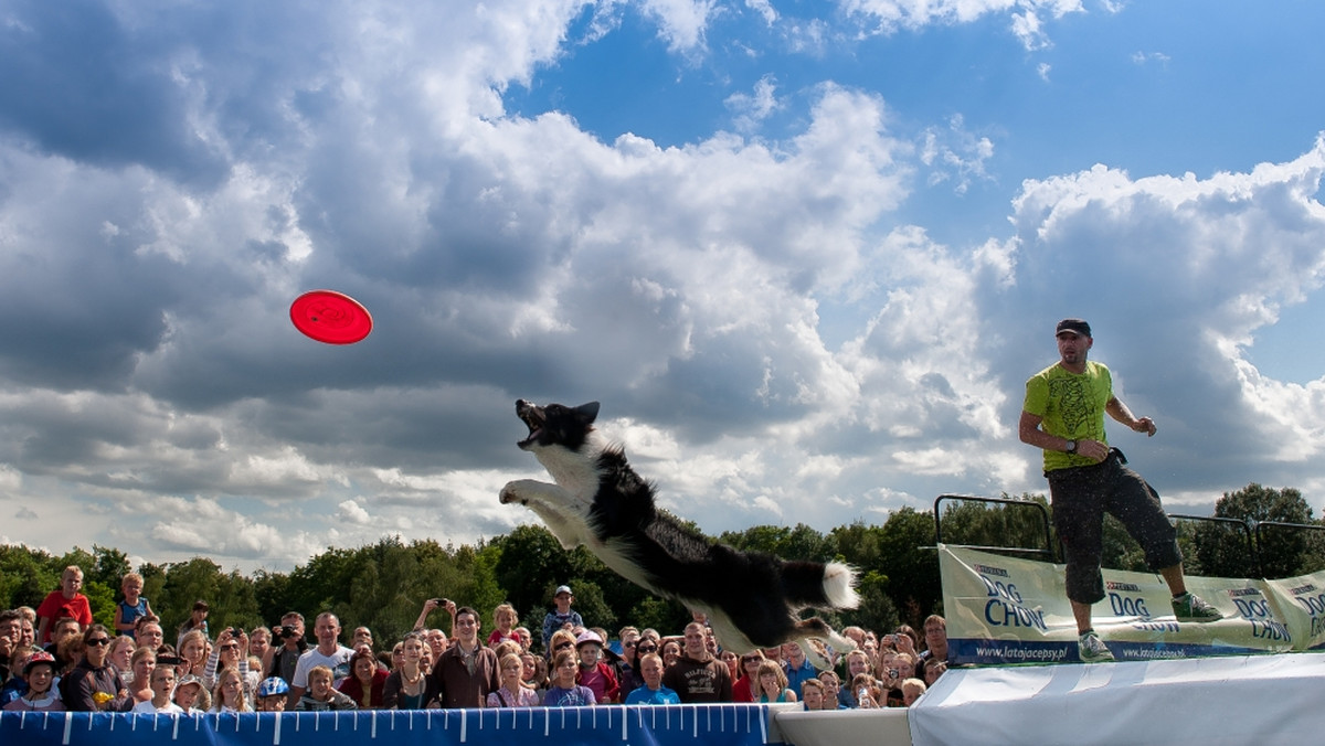 Już po raz piąty warszawski park Pole Mokotowskie zamieni się w miejsce rozgrywek niecodziennego turnieju. W weekend 1 i 2 września odbędzie się finał już siódmej edycji zawodów "latających psów" - DOG CHOW DISC CUP 2012.