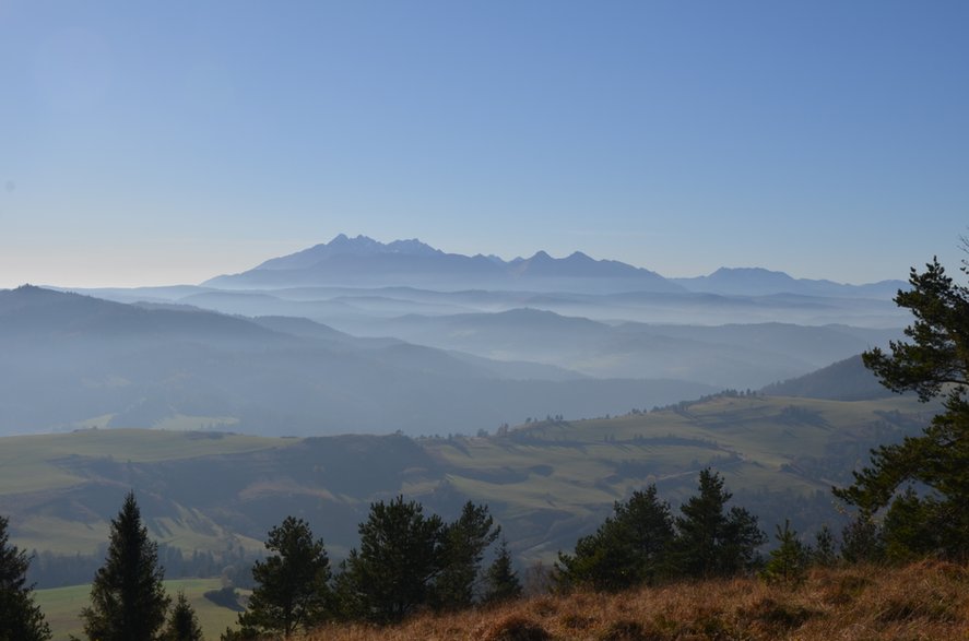 Magura Spiska i Tatry widziane z Wysokiego Wierchu. Małe Pieniny.