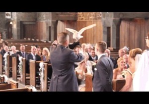 617559_sova-foto-youtube-rumble-viral