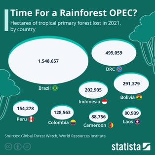 To w tych krajach zniszczono najwięcej tropikalnego lasu