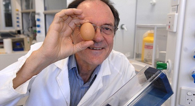 An Australian scientist has been honoured with an Ig Nobel prize for creating a way to unboil an egg.