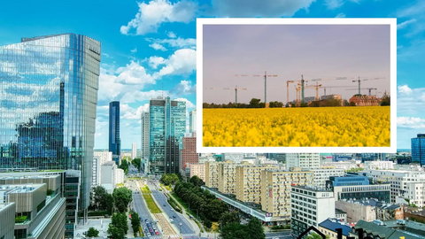 Czy największe polskie miasta zaczną się wyludniać? Wszystko przez rosnące ceny nieruchomości!