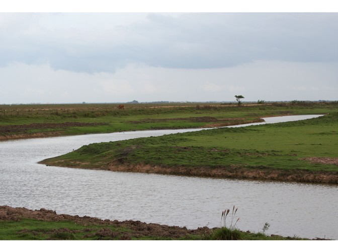 Wenezuela - Los Llanos