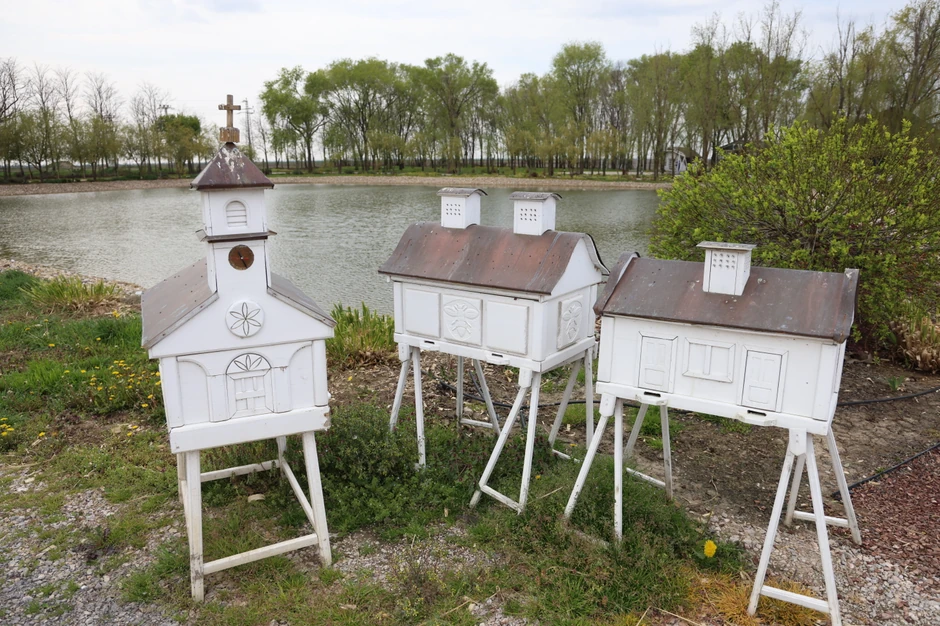 Zavirite u kuću Branka Babića