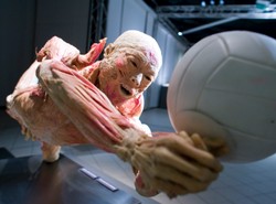 Tłumy przyszły oglądać martwe ciała ludzi