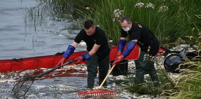 Ekspert nie ma wątpliwości w sprawie Odry. Powiedział, ile czasu zajmie odbudowanie w niej życia. Podał termin 