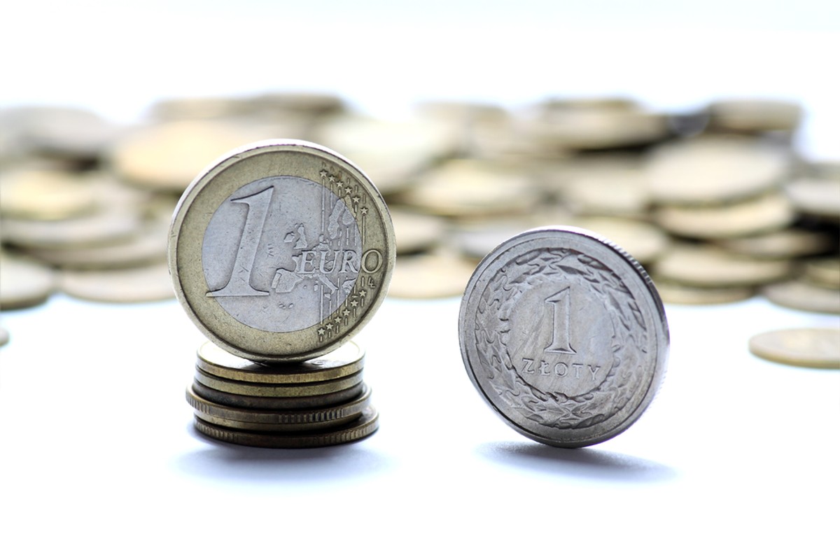 Złoty i euro