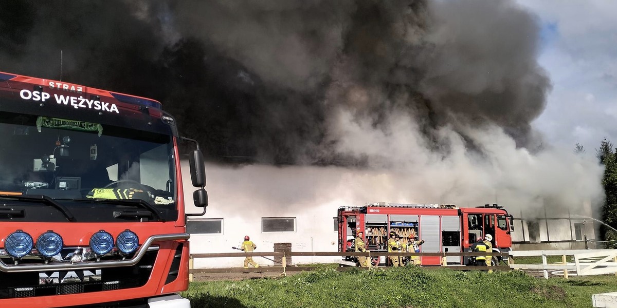 Pożar stadniny koni w Bronkowie.