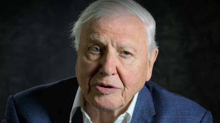 Sir David Attenborough ostrzega światowych przywódców G7