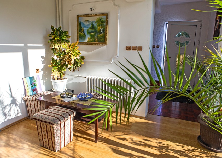 Era Ojdanić, na gajbi kod