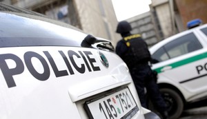 Policija, Češka
