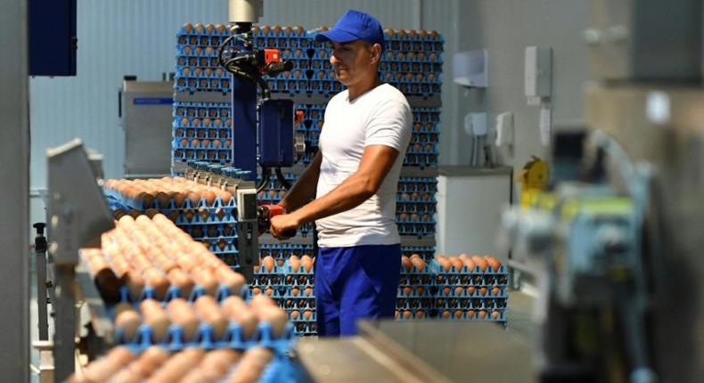 Millions of eggs have been pulled from supermarket shelves across Europe and dozens of poultry farms have closed since the news hit on August 1 that eggs contaminated with fipronil, which can harm human health, were being exported and sold
