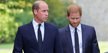 Książę Harry żali się, że urodził się, by oddać Williamowi... nerkę. To straszne, jak rodzina nazywała go przez lata
