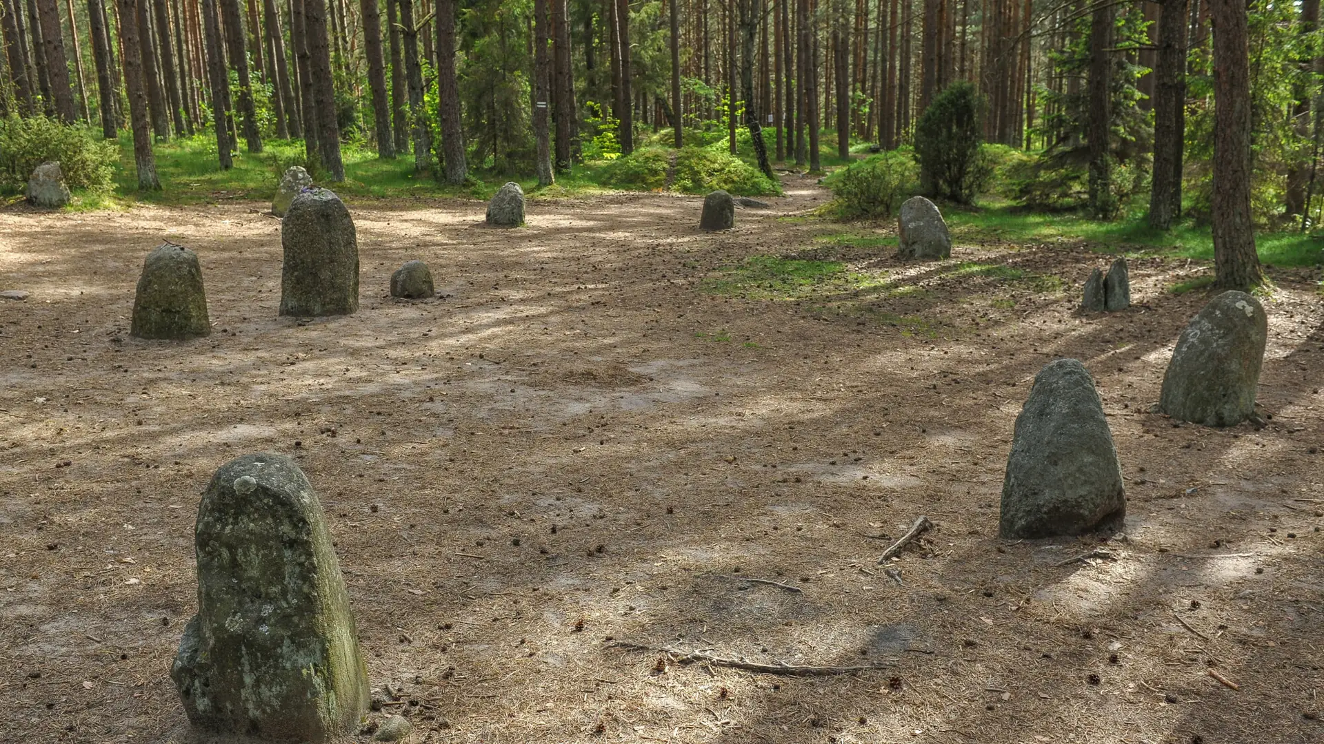 "Polskie Stonehenge" na Kaszubach. Mówią: weź ten kamień do domu, a stanie się krzywda