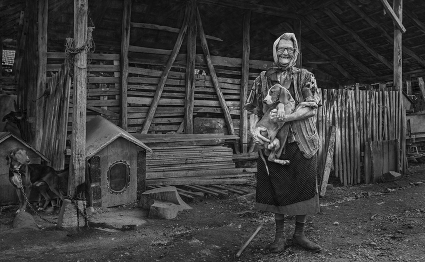 Stefan S. Stojanović: Baka Draga