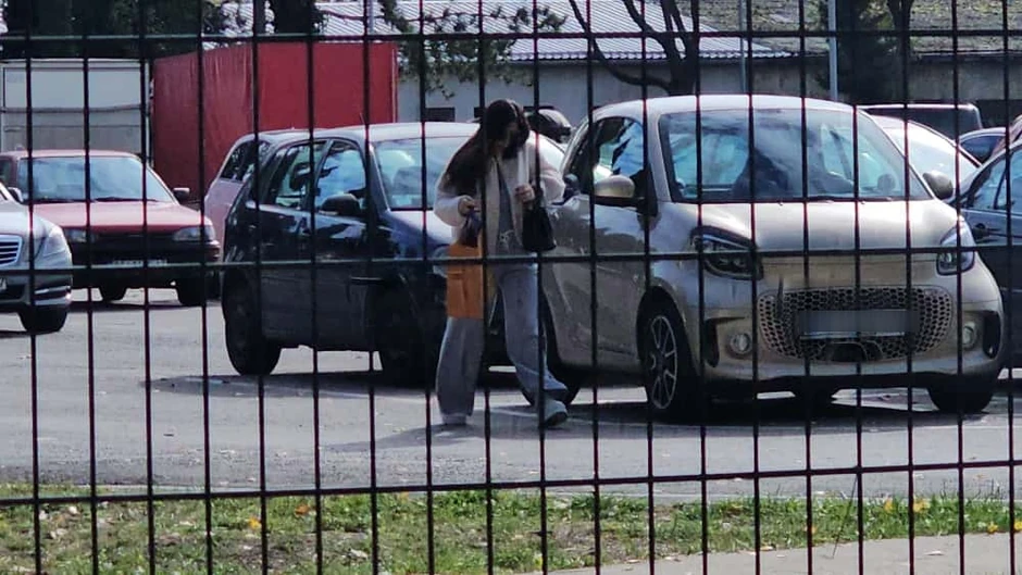 Ana Sević, paparaco