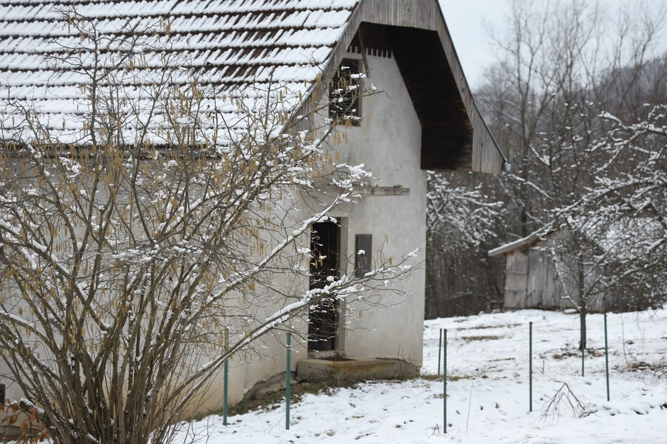 Gornja Mravica, Prnjavor