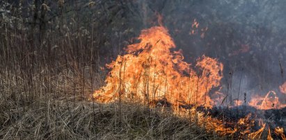 Nie wypalaj traw! Możesz zapłacić 20 tys. zł kary