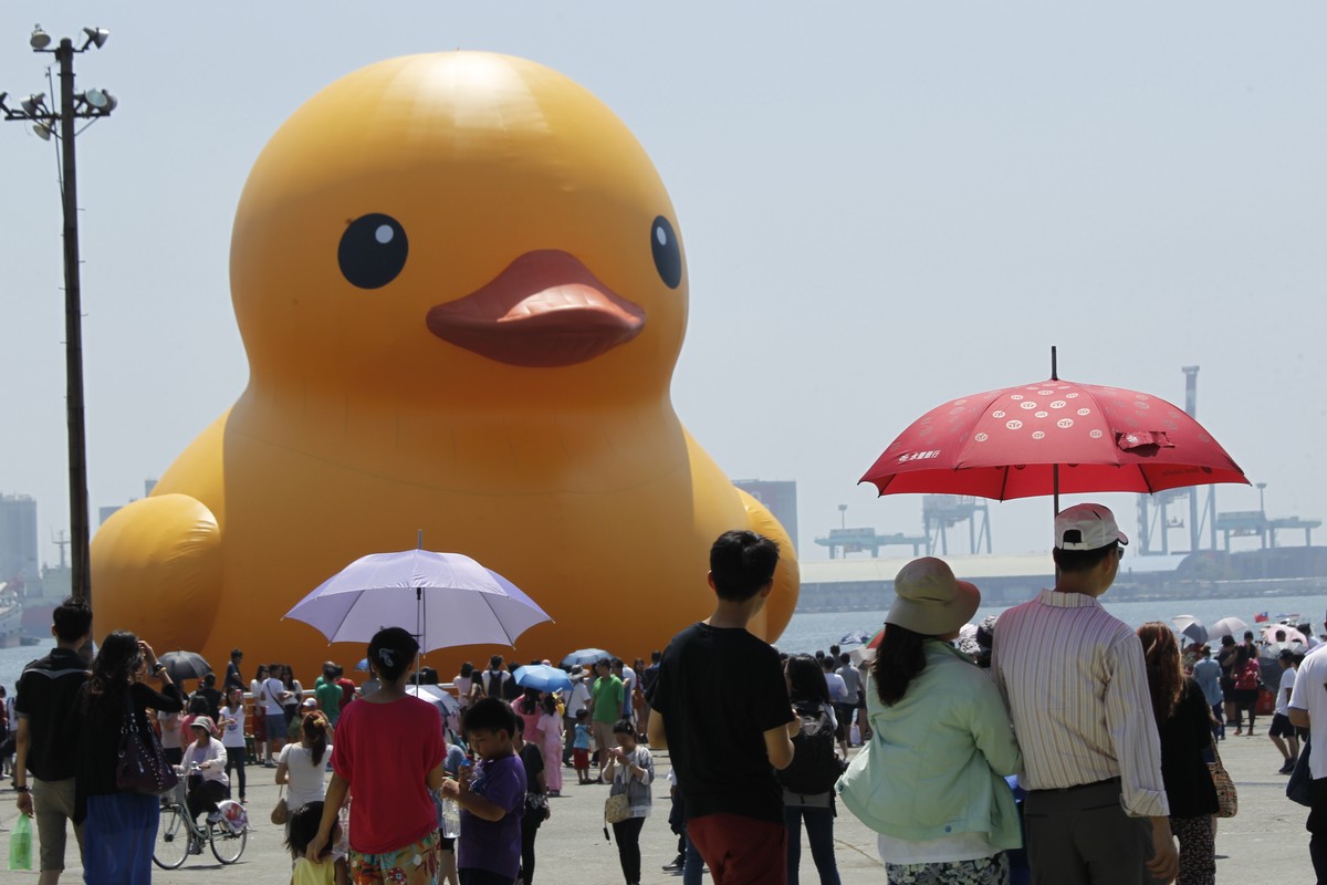 Kaczka u wybrzeży Tajwanu