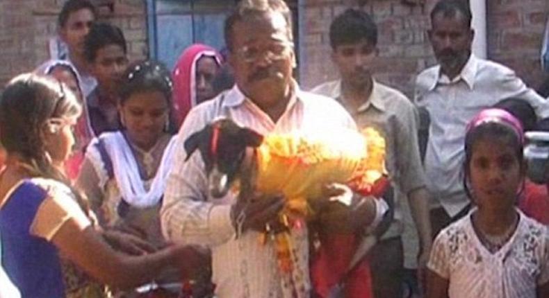 Bizarre wedding ceremony of 2 dogs attracts over 5000 people to watch