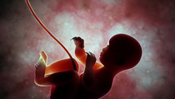 Naukowcy badają mechanizm długotrwałej infekcji płodu wirusem cytomegalii