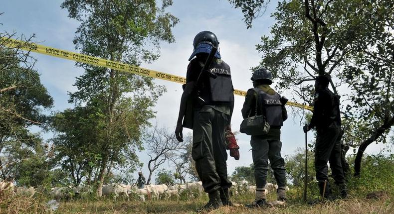 Policemen watch over cattle rescued from cattle rustlers at Dajin Gomo village of Sumaila local government area Kano, Nigeria, November 2, 2015. REUTERS/Stringer