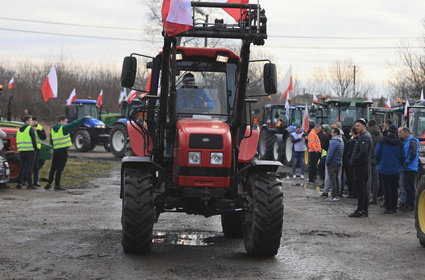 Kogo Polacy winią za protest rolników? Wyniki sondażu