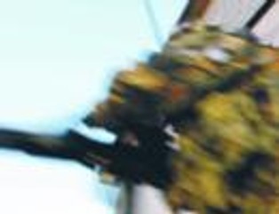 Unia Europejska śni o jednej wielkiej euroarmii