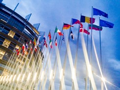 'Rząd PiS opowiada się za wolnością w internecie'. W PE głosowanie nad dyrektywą o prawach autorskich