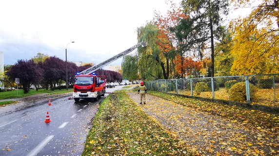 Połamane drzewa i gałęzie. Strażacy usuwają skutki silnego wiatru