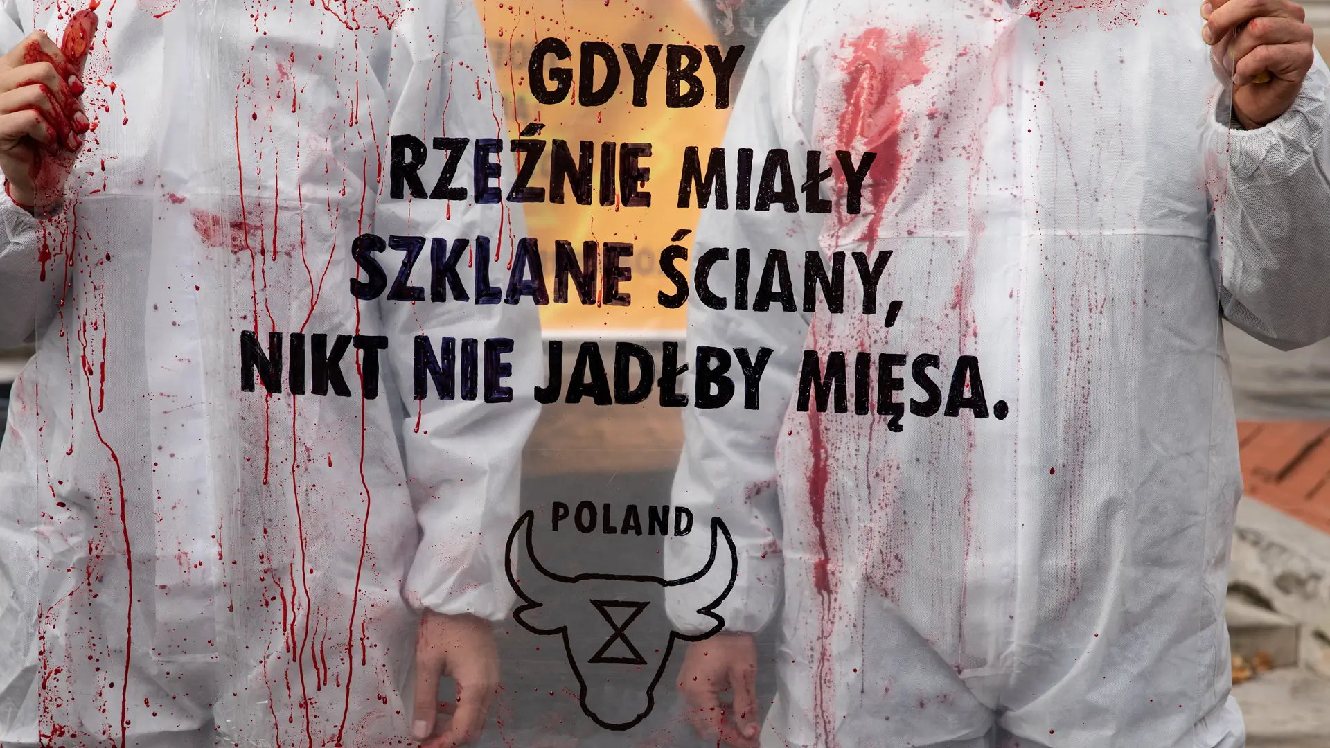 "Gdyby rzeźnie miały szklane ściany, nikt nie jadłby mięsa". Krew przed Ministerstwem Rolnictwa